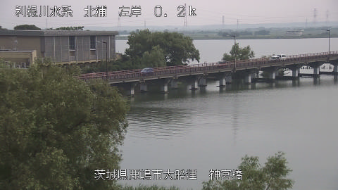 jingu2026080115_image