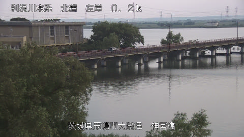 jingu2026080117_image