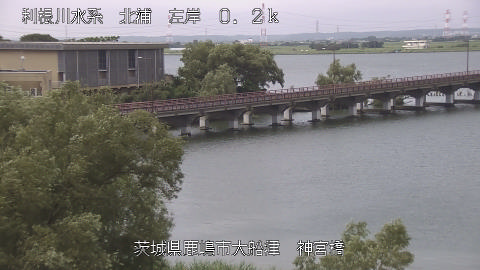 jingu2026080209_image