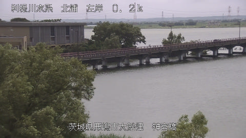 jingu2026080213_image