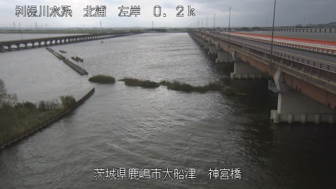 jingu2026101412_image