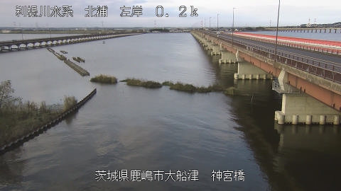 jingu2026102307_image