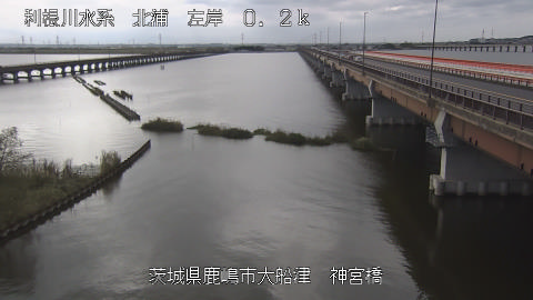 jingu2026102312_image