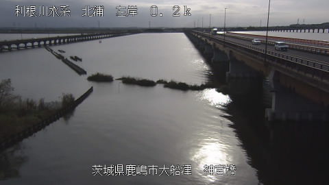 jingu2026102315_image