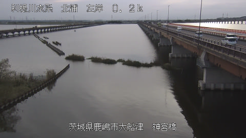 jingu2026102316_image
