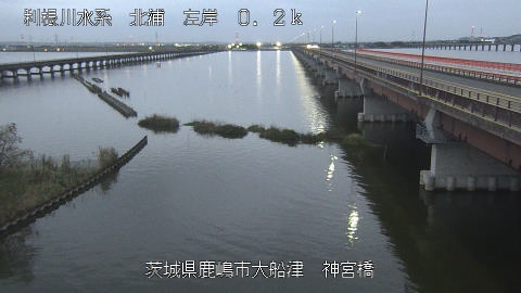 jingu2026102406_image