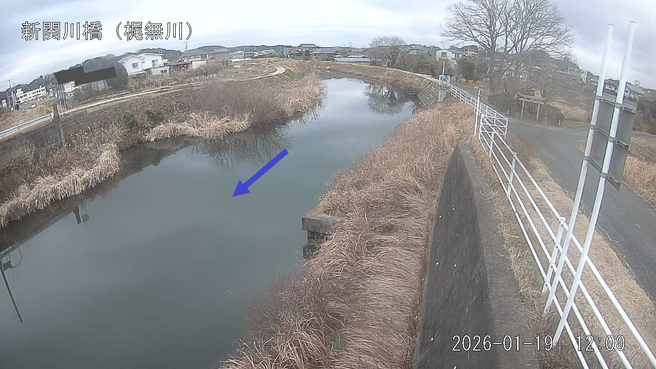 kajina2026011912_image