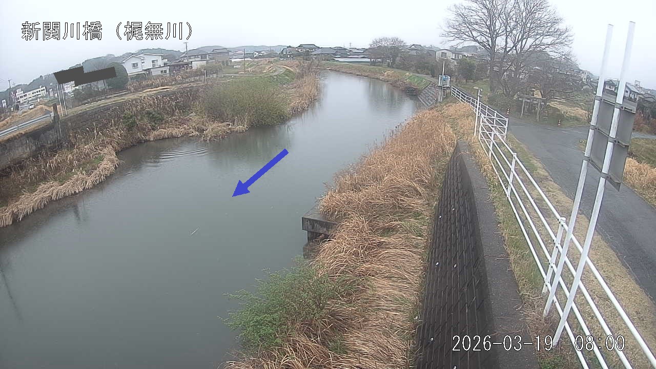 kajina2026031908_image