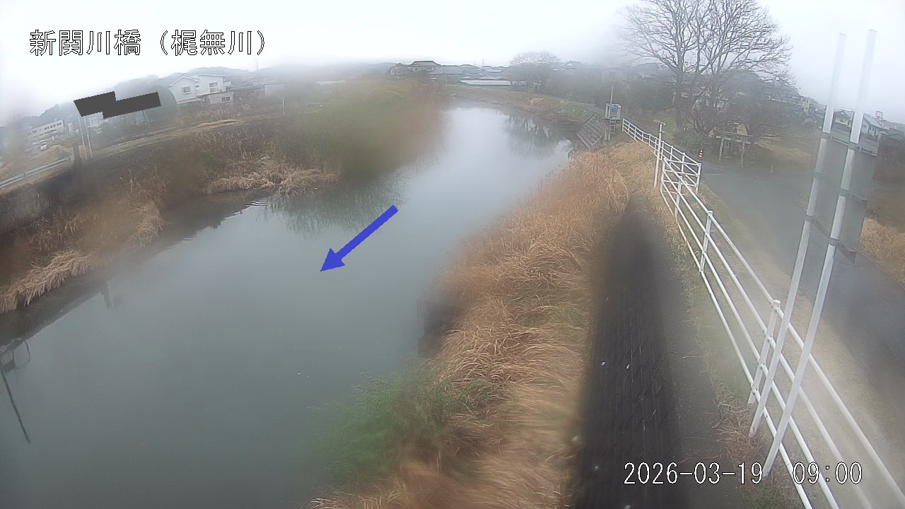 kajina2026031909_image