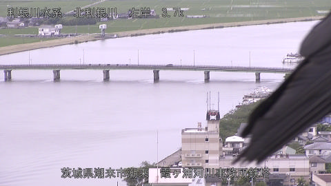 kitato2025061212_image