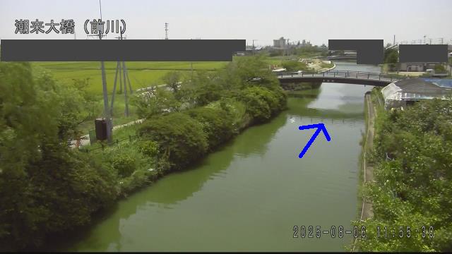 mae2025080612_image