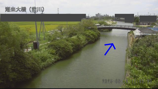 mae2025081412_image