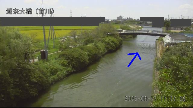 mae2025081712_image