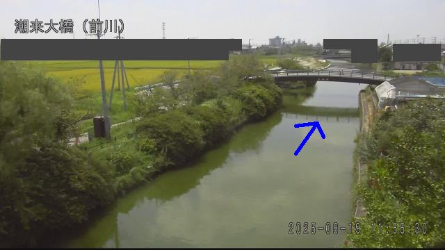 mae2025081912_image