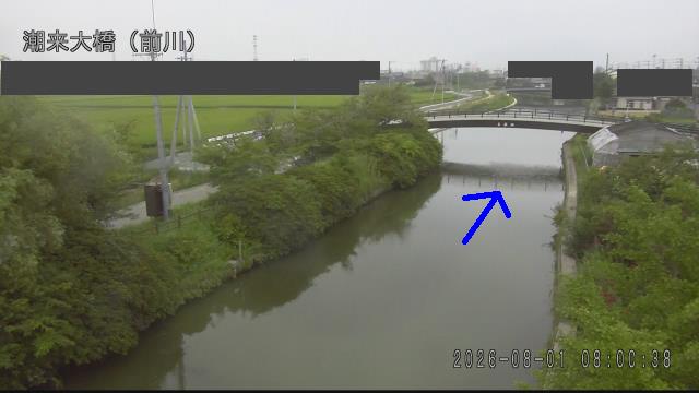 mae2026080108_image
