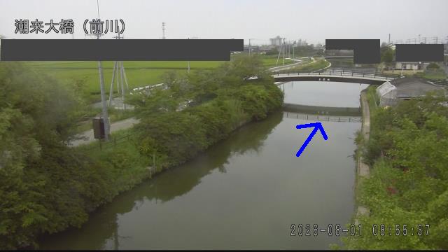 mae2026080109_image