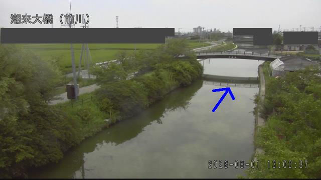 mae2026080113_image
