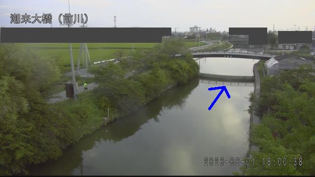 mae2026080118_image