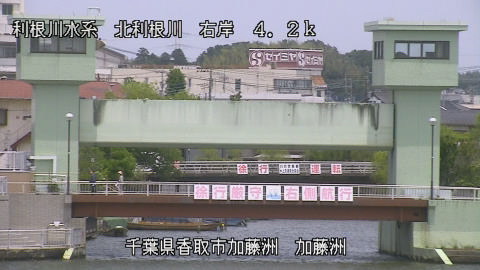maesui2025060612_image