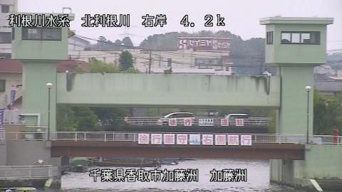 maesui2025060812_image