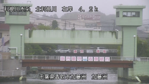 maesui2025061012_image