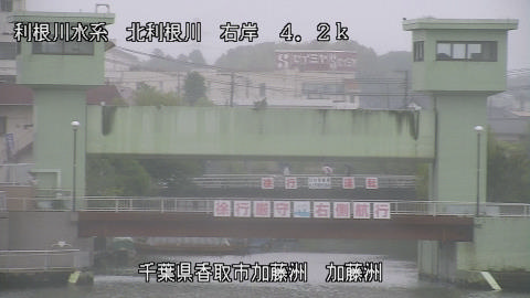 maesui2025061112_image