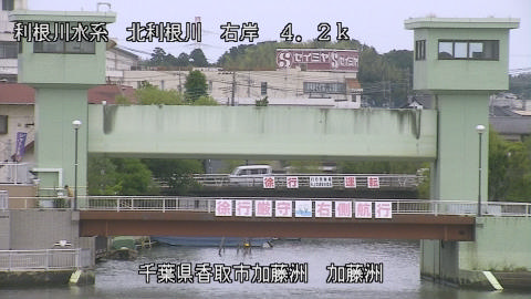 maesui2025061212_image