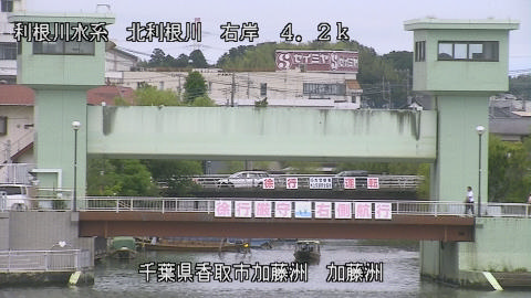 maesui2025061612_image