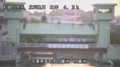 maesui2025063005_image