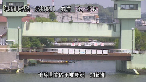 maesui2025081912_image