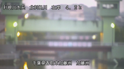 maesui2025082205_image