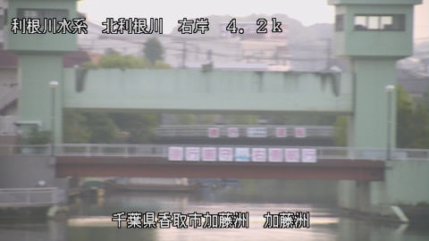 maesui2025082206_image
