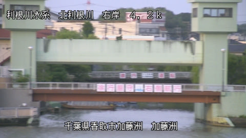 maesui2025082218_image