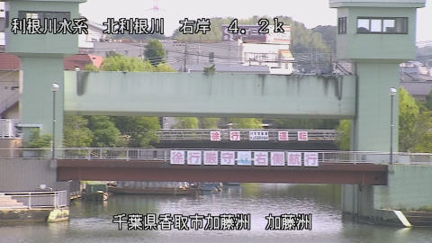 maesui2025082309_image