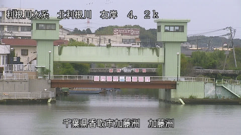 maesui2025100112_image