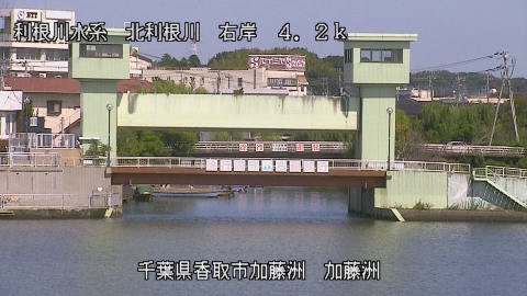 maesui2025100212_image