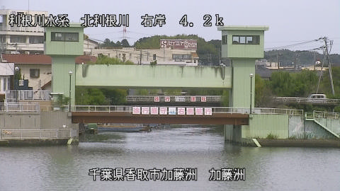 maesui2025100312_image
