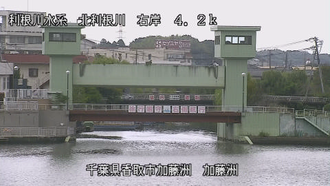 maesui2025100412_image