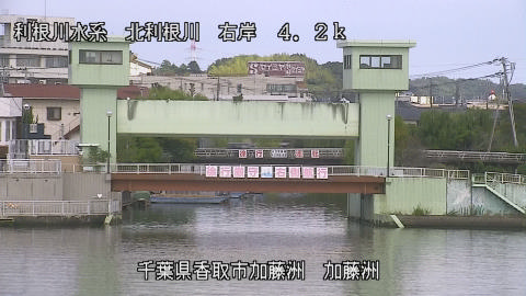 maesui2025100512_image