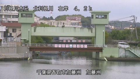 maesui2025100612_image