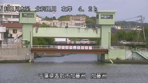 maesui2025100712_image