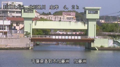 maesui2025100812_image