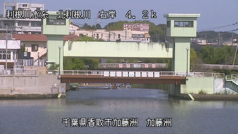 maesui2025101012_image