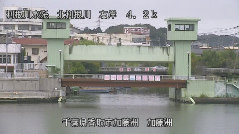 maesui2025101212_image