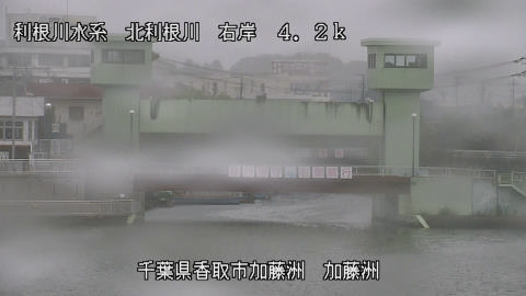 maesui2025101312_image