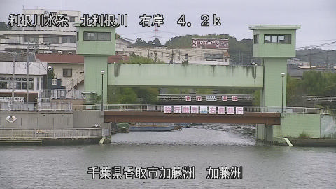 maesui2025101412_image