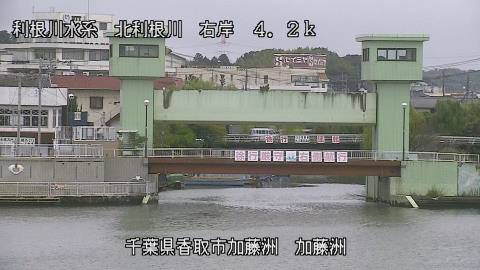 maesui2025101512_image