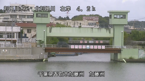 maesui2025101712_image
