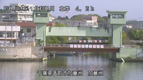 maesui2025101809_image