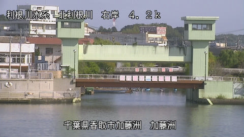 maesui2025101810_image